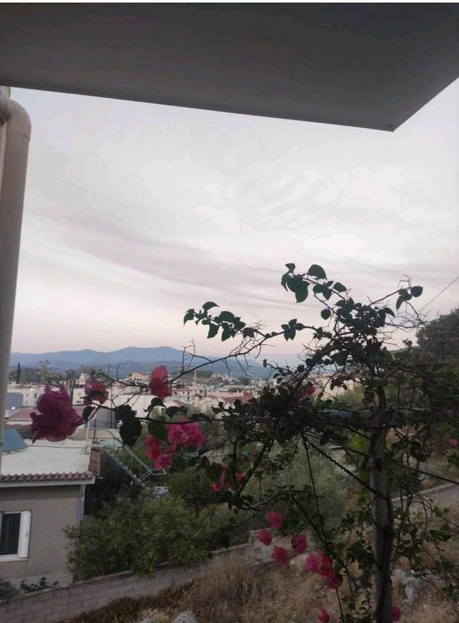 Όμορφο Και Ευρύχωρο Διαμέρισμα Με Θέα! Lejlighed Nafplio Eksteriør billede