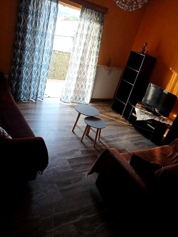 Όμορφο Και Ευρύχωρο Διαμέρισμα Με Θέα! Lejlighed Nafplio Eksteriør billede